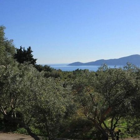 Villa Ro-Ela Trsteno Oda fotoğraf